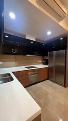 Holland Link (D10), Terrace #509647061